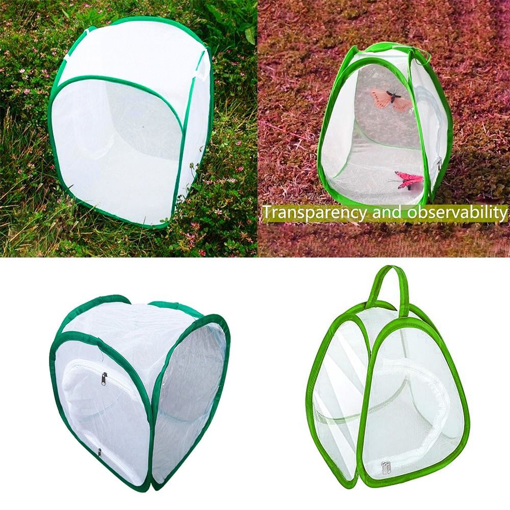 Cage à insectes pliable verte, - Green Screen Collapsible avis et prix