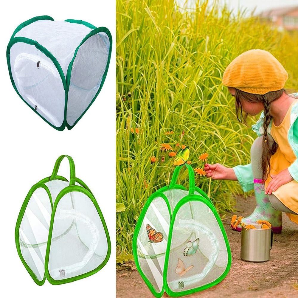 Cage à insectes pliable verte, - Green Screen Collapsible avis et prix