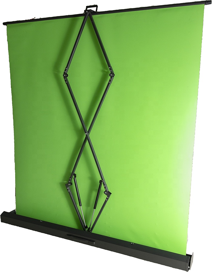 Panneau de fond photographique - Green Screen Collapsible avis et prix